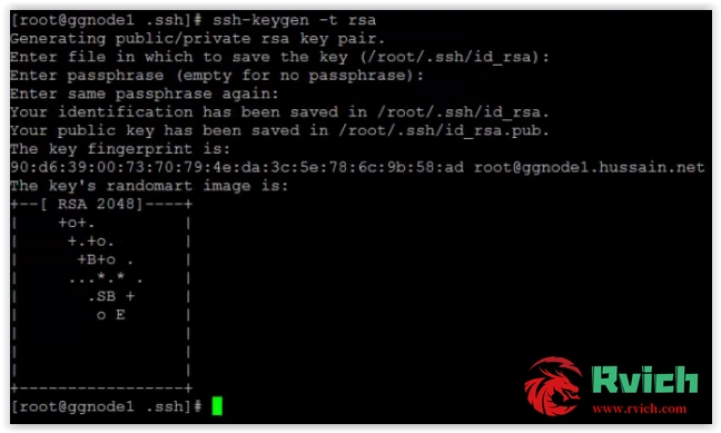 图片[1]-Oracle破解SSH密钥问题-瑞驰杂刊-Rvich Blog